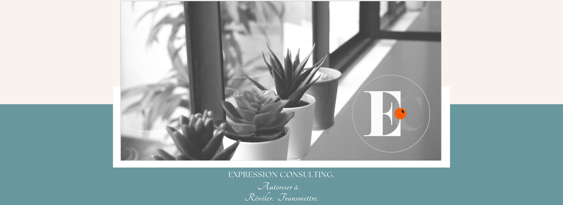 EXPRESSION CONSULTING